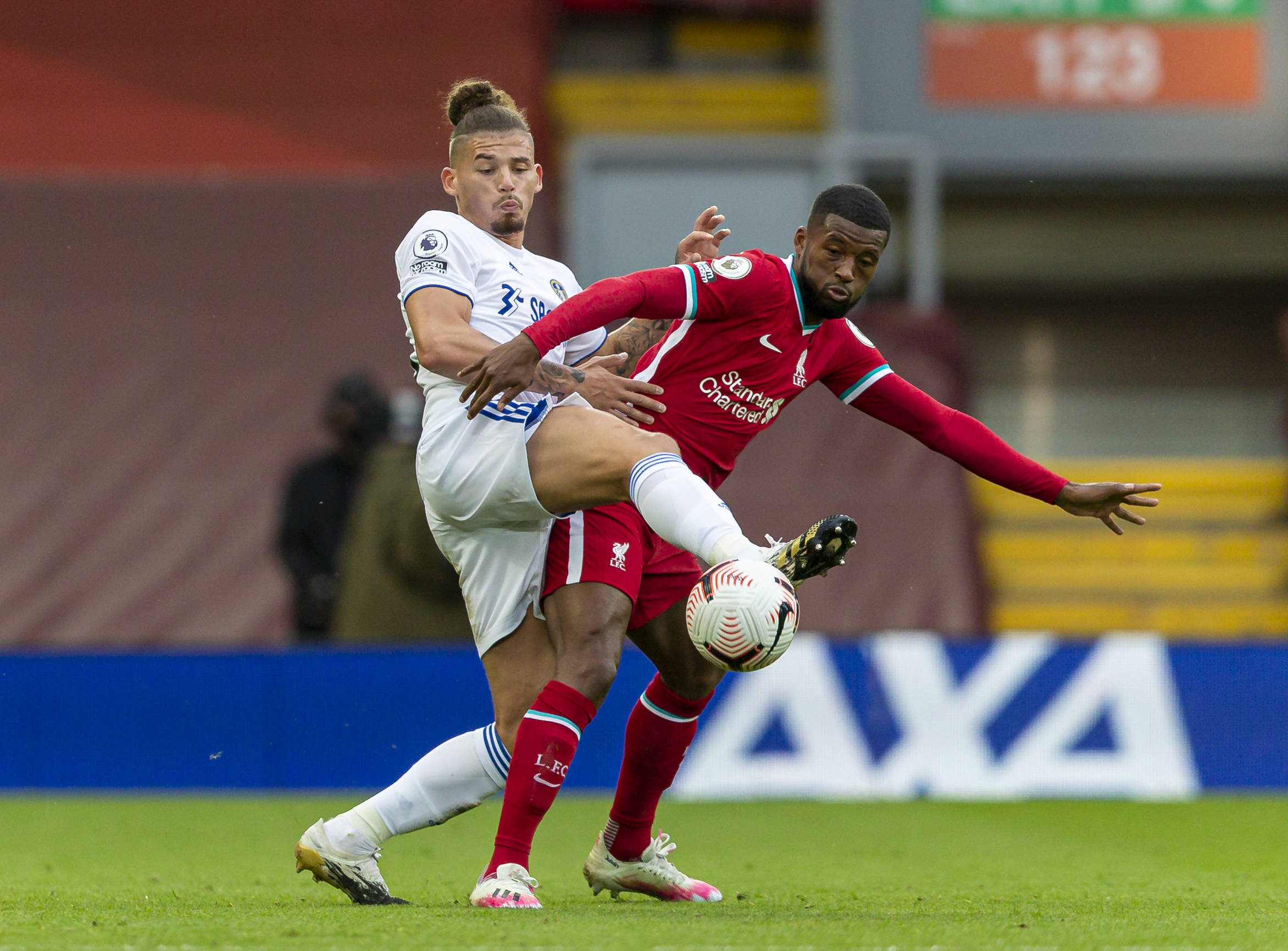 但在面对严 但在面对严