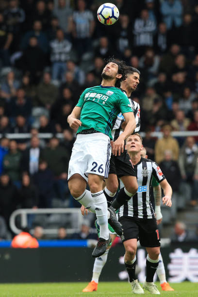 荷兰女足在 荷兰女足在